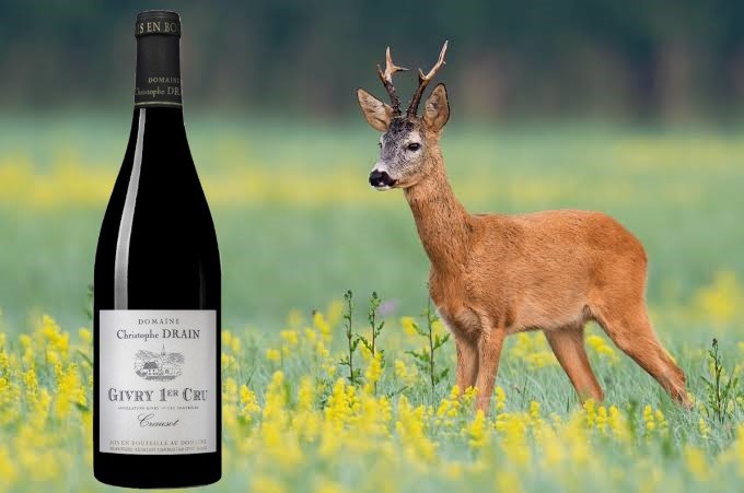 Bouteille de vin rouge Domaine Christophe Drain, Givry 1er Cru, debout dans un pré avec un cerf à côté